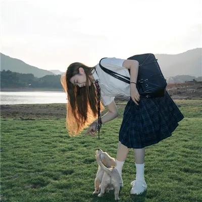 实习警犬物语
